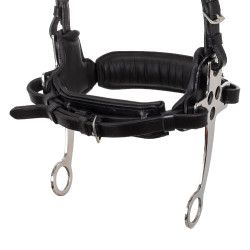 Filet hackamore Supreme Nero