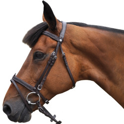 Briglia Canter Nera con strass Briglia Canter Nera con strass