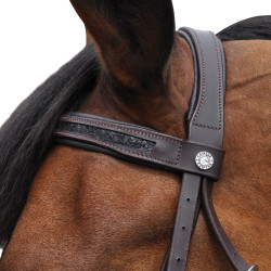 Briglia Canter Nera con strass
