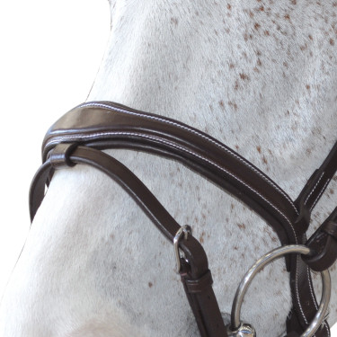 Bridon Canter ORNELLA Noir