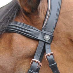 Bridon Canter ROSE GOLD Noir
