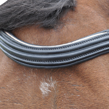 Bridon Canter ROSE GOLD Noir