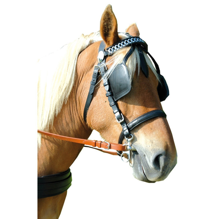 Briglia imbracatura EURO Canter