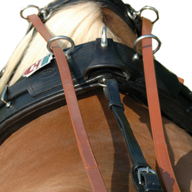 Guide in cuoio per finimenti in coppia Chetak Newmarket Marrone