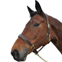 Capezzina Chetak BRIGHT Nero Capezzina Chetak BRIGHT Nero