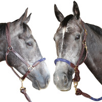 Licol corde Canter Marron / marine