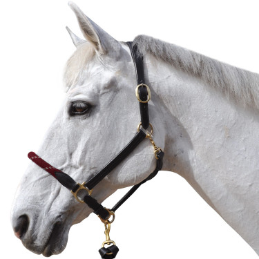 Capestro in corda Canter Capestro in corda Canter