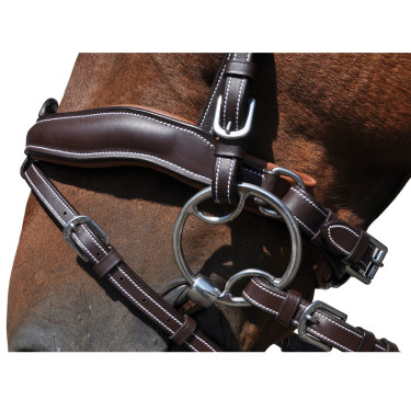 Bridon Flags & Cup Copenhague Noir