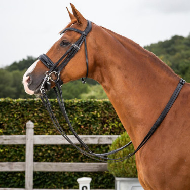 Briglia Dy'on collezione dressage cuoio piatto Capezzina Large Verniciata