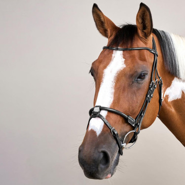 Briglia in cuoio tondo Working By Dy'on Nero Briglia in cuoio tondo Working By Dy'on Nero