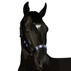 Capezze Flags & Cup Chukka Capezze Flags & Cup Chukka