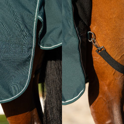 Coperta da paddock Imperial Riding Basic con copricollo amovibile 300 g Verde