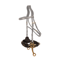 Hackamore Dy'on Nero