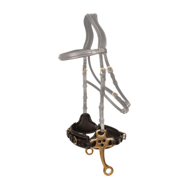 Hackamore Dy'on Nero