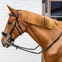 Redini in gomma 5/8" Dy'on collezione Working con fermacapi in cuoio e moschettone Nero Redini in gomma 5/8" Dy'on collezione Working con fermacapi in cuoio e moschettone Nero