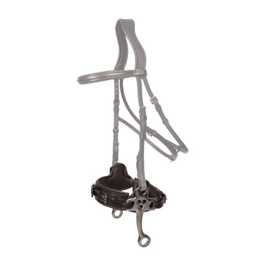 Hackamore Dy'on New English Nero