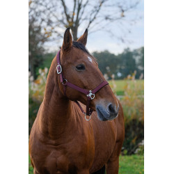 Capestro in nylon Spring Equithème Bordeaux