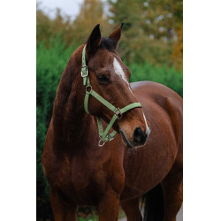 Capestro in nylon Spring Equithème Verde chiaro