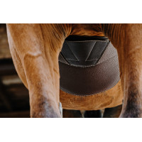 Cintura bavetta Magnet Norton Avana Marrone