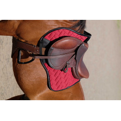 Cintura bavetta Magnet Norton Avana Marrone