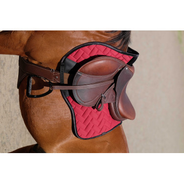 Cintura bavetta Magnet Norton Avana Marrone