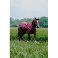 Coperta Equithème TYREX 1200D High Neck Bordeaux