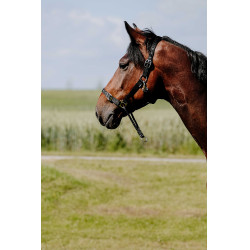 Capezzina Educativa Norton Nero