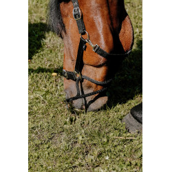 Capezzina Educativa Norton Nero