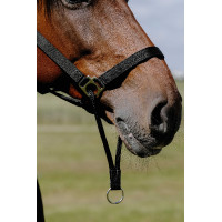 Capezzina Educativa Norton Nero