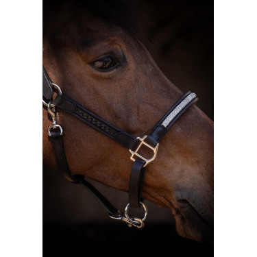 Capezza Pénélope Harmonie Nero