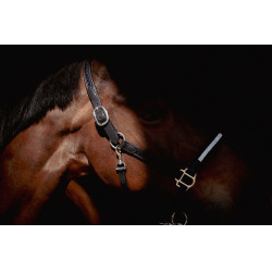 Capezza Pénélope Harmonie Nero