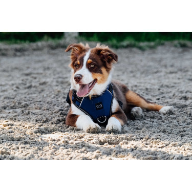 Imbracatura per cani RIDING WORLD - Simba Marina Blu marino