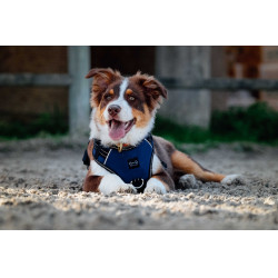 Imbracatura per cani RIDING WORLD - Simba Marina Blu marino