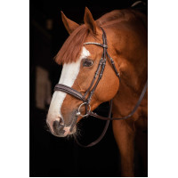 Briglia Pénélope Daily Strass SR Avana Marrone