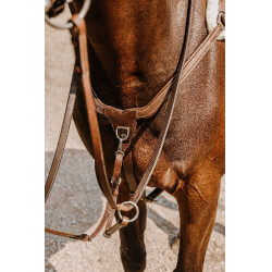 Pettorale NORTON - 5 punti Avana Marrone Pettorale NORTON - 5 punti Avana Marrone