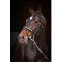 Briglia Pénélope Symphonie Nero