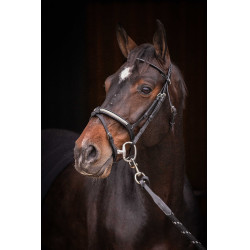 Briglia Pénélope Symphonie Nero