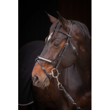 Briglia Pénélope Symphonie Nero