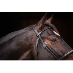 Briglia Pénélope Symphonie Nero