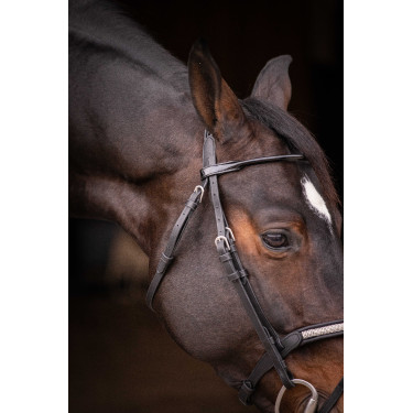 Briglia Pénélope Symphonie Nero