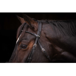 Briglia Pénélope Symphonie Nero