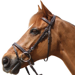 Briglia Privilege Equitation Grandville combinata Briglia Privilege Equitation Grandville combinata