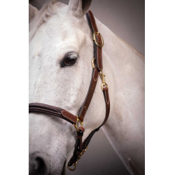 Capestro in cuoio con 3 moschettoni Paddock Sports Avana Marrone