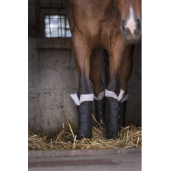 Stinchiere da riposo Norton