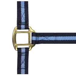 Capestro in nylon foderato in cuoio Norton Marina / cielo Blu