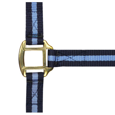 Capestro in nylon foderato in cuoio Norton Marina / cielo Blu