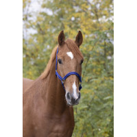 Capestro in nylon foderato in cuoio Norton Blu / nero