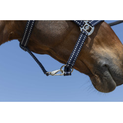 Capezzina Norton Grooming Blu navy