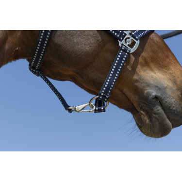 Capezzina Norton Grooming Blu navy