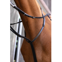 Redini ausiliarie Norton Pro Thiedeman Nero